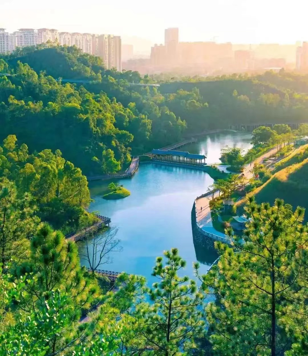 香山湖公園.jpg