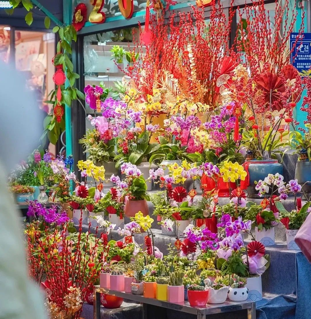 1.迎春花市.png