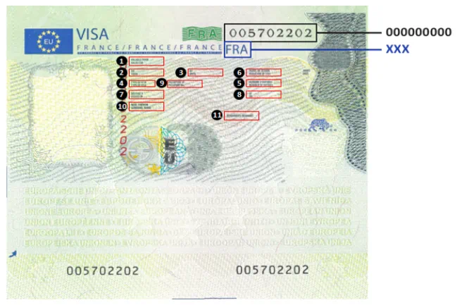 5614482363468451505.jpg